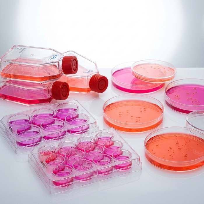 Cell & Tissue Culture Essentials